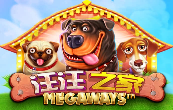 新澳内部资料精准大全